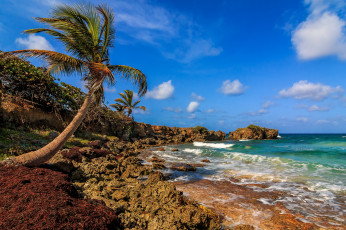 Картинка природа побережье простор