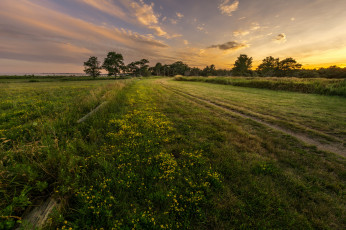 Картинка природа поля простор