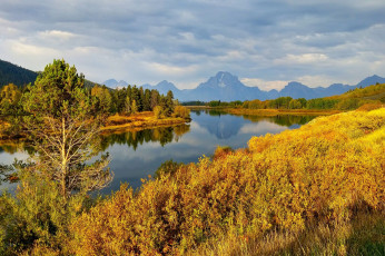 Картинка природа реки озера grand teton national park wyoming горы река деревья