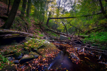 Картинка природа реки озера простор