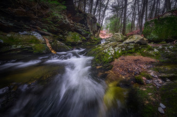 Картинка природа реки озера простор