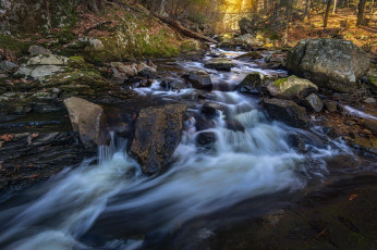 Картинка природа реки озера простор