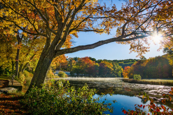 Картинка природа реки озера простор