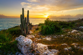 Картинка природа восходы закаты простор