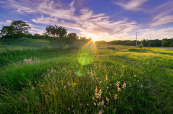 Картинка природа луга простор