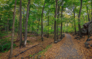 Картинка природа дороги простор