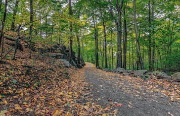 Картинка природа дороги простор