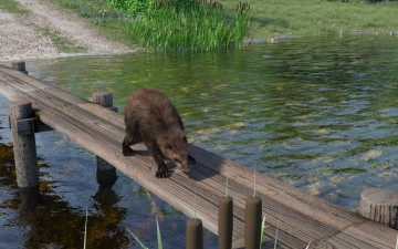 Картинка 3д+графика животные+ animals река бобры