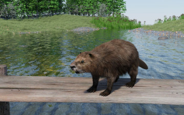 Картинка 3д+графика животные+ animals река бобры