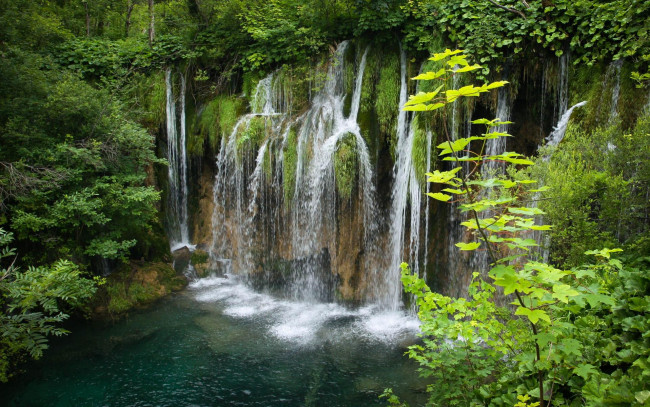 Обои картинки фото природа, водопады, plitvice, lakes, national, park, плитвицкие, озёра, кротия