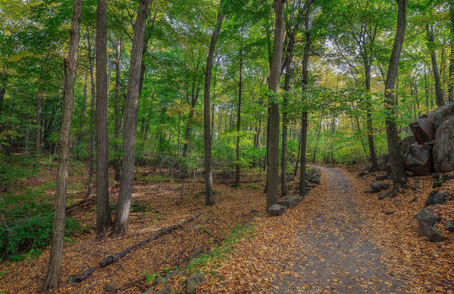 Обои картинки фото природа, дороги, простор