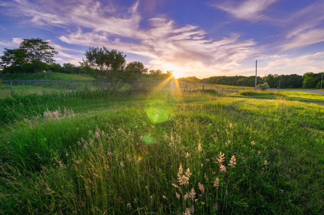 Обои картинки фото природа, луга, простор