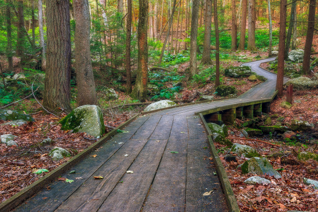 Обои картинки фото природа, дороги, простор