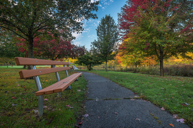 Обои картинки фото природа, парк, простор