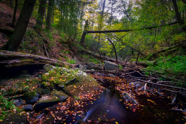 Обои картинки фото природа, реки, озера, простор