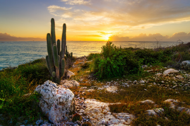 Обои картинки фото природа, восходы, закаты, простор