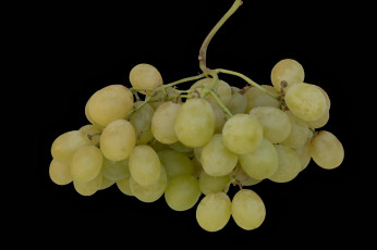 Картинка еда виноград снедь