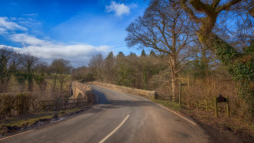 Картинка природа дороги простор