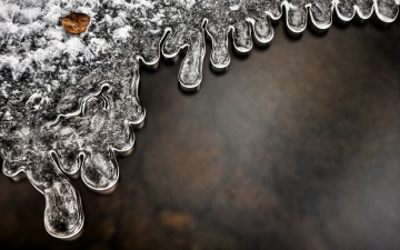 Картинка природа макро лед вода лист