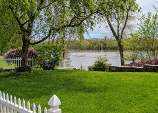 Картинка природа парк