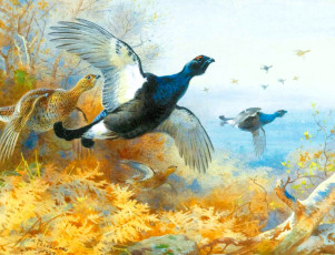обоя рисованное, archibald thorburn, тетерева, птицы, стая, полет, деревья, кусты, осень
