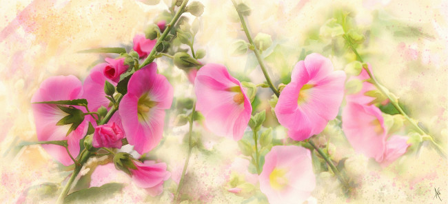 Обои картинки фото рисованное, цветы