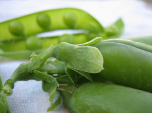 Картинка еда бобовые