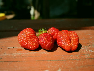 Картинка еда клубника земляника