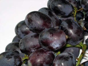 Картинка еда виноград