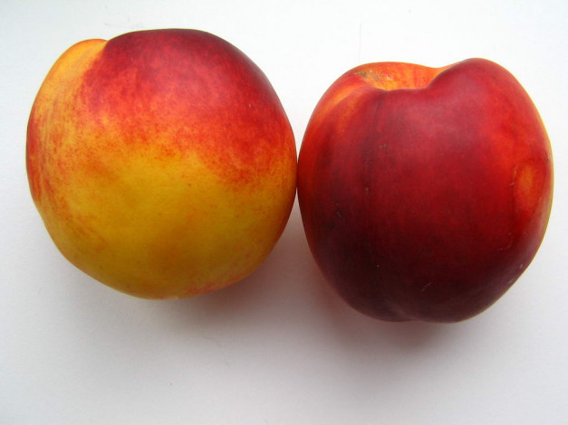 Обои картинки фото еда, персики, сливы, абрикосы