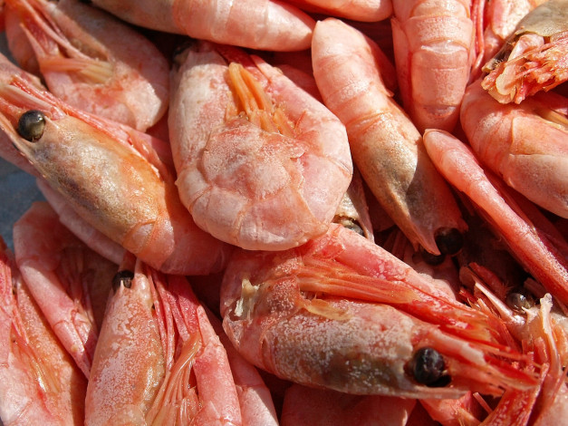 Обои картинки фото еда, рыба, морепродукты, суши, роллы