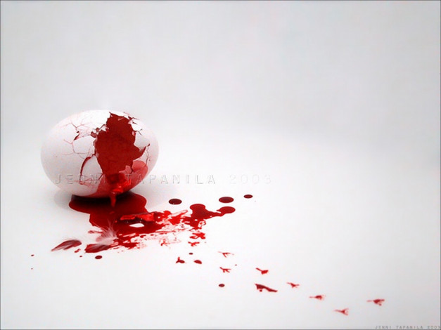 Обои картинки фото разное