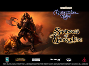 Картинка neverwinter nights видео игры shadows of undrentide