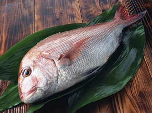 Картинка еда рыба морепродукты суши роллы