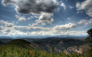 Картинка природа