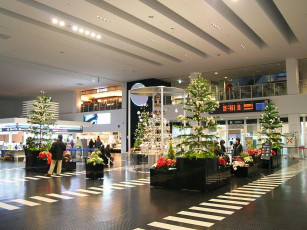 Картинка праздничные новогодние пейзажи