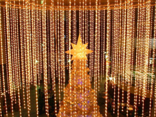 Картинка праздничные Ёлки