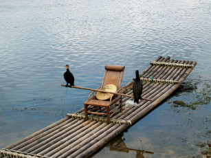 Картинка корабли другое