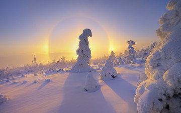 Картинка природа зима