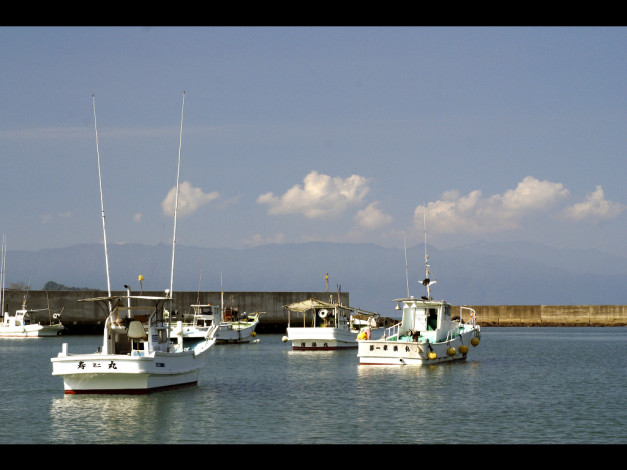 Обои картинки фото корабли, разные, вместе