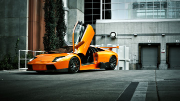 Картинка lamborghini murcielago автомобили автомобиль стиль мощь скорость