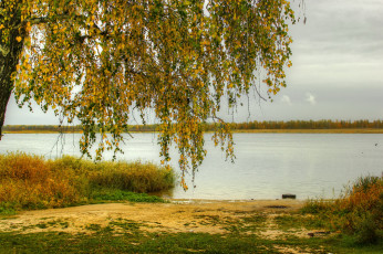 Картинка природа реки озера река осень деревья