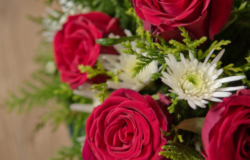 Картинка цветы букеты +композиции хризантемы розы