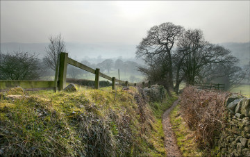 Картинка природа дороги поле деревья трава тропинка канава