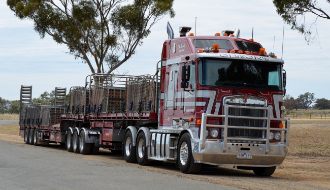 Обои картинки фото kenworth, автомобили, truck, company, грузовые, автобусы, сша