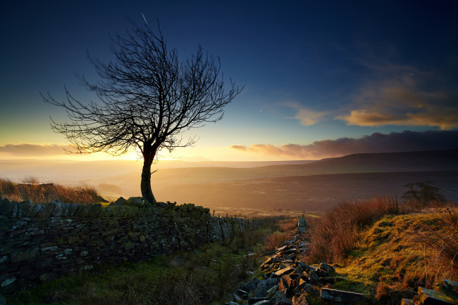 Обои картинки фото природа, деревья, дорога, забор, дерево, долина, туман