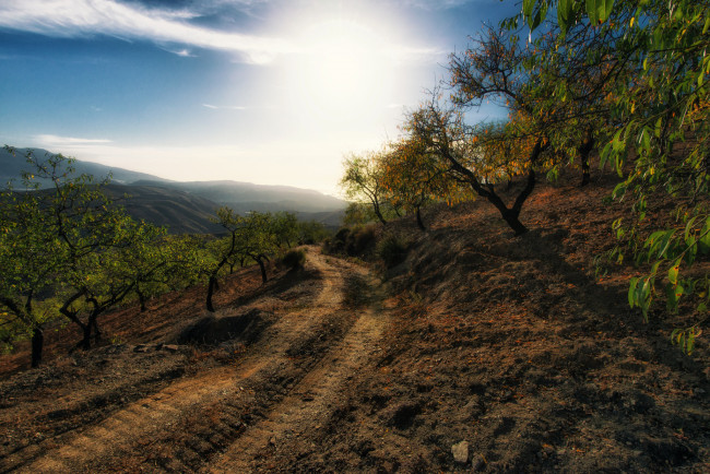 Обои картинки фото природа, дороги, дорога, склон, сад, горы