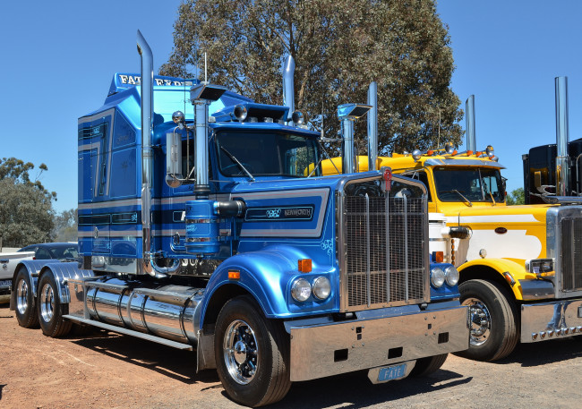 Обои картинки фото kenworth, автомобили, truck, company, грузовые, автобусы, сша