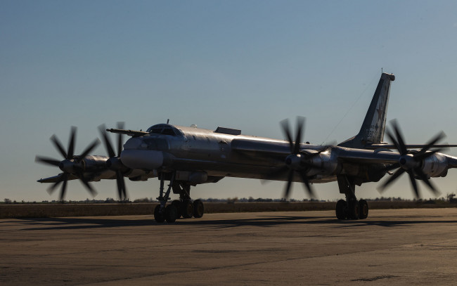 Обои картинки фото авиация, боевые самолёты, медведь
