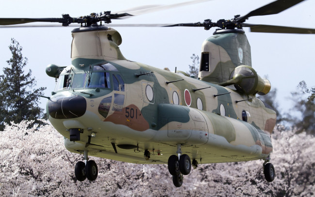 Обои картинки фото авиация, вертолёты, винт